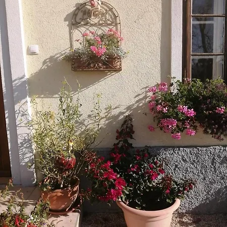 Country house Marta's House *