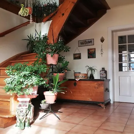 Marta's House Casa de Campo *