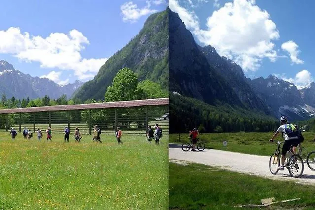 Marta's House בית כפרי בלד